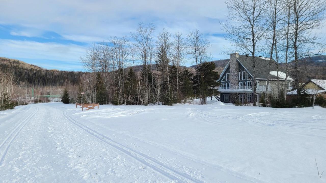 LʼAnse-Saint-Jean Condo-Chalet De La Vallee D'Edouard מראה חיצוני תמונה