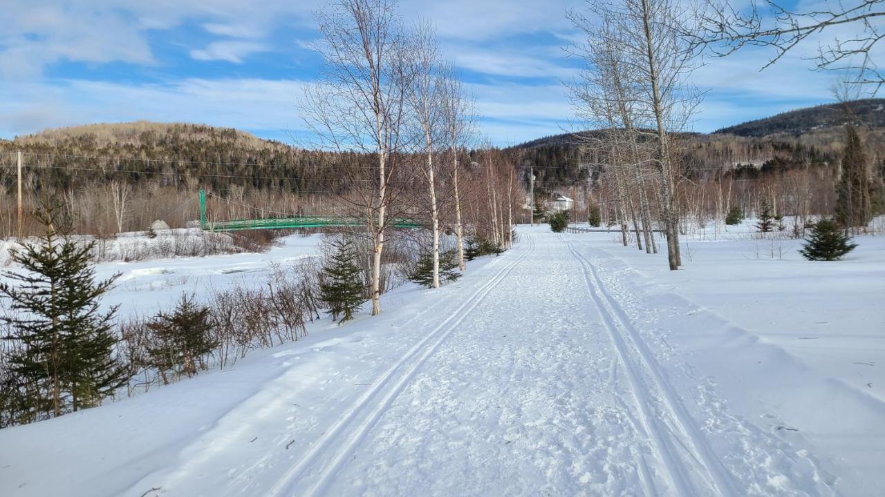 LʼAnse-Saint-Jean Condo-Chalet De La Vallee D'Edouard מראה חיצוני תמונה