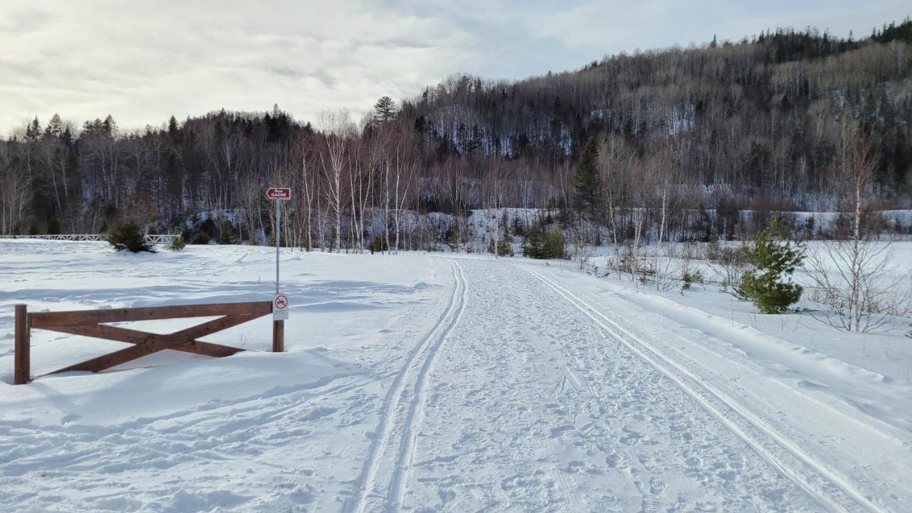 LʼAnse-Saint-Jean Condo-Chalet De La Vallee D'Edouard מראה חיצוני תמונה