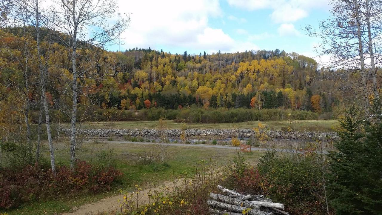 LʼAnse-Saint-Jean Condo-Chalet De La Vallee D'Edouard מראה חיצוני תמונה