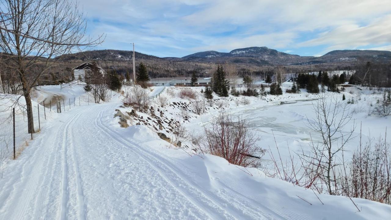 LʼAnse-Saint-Jean Condo-Chalet De La Vallee D'Edouard מראה חיצוני תמונה